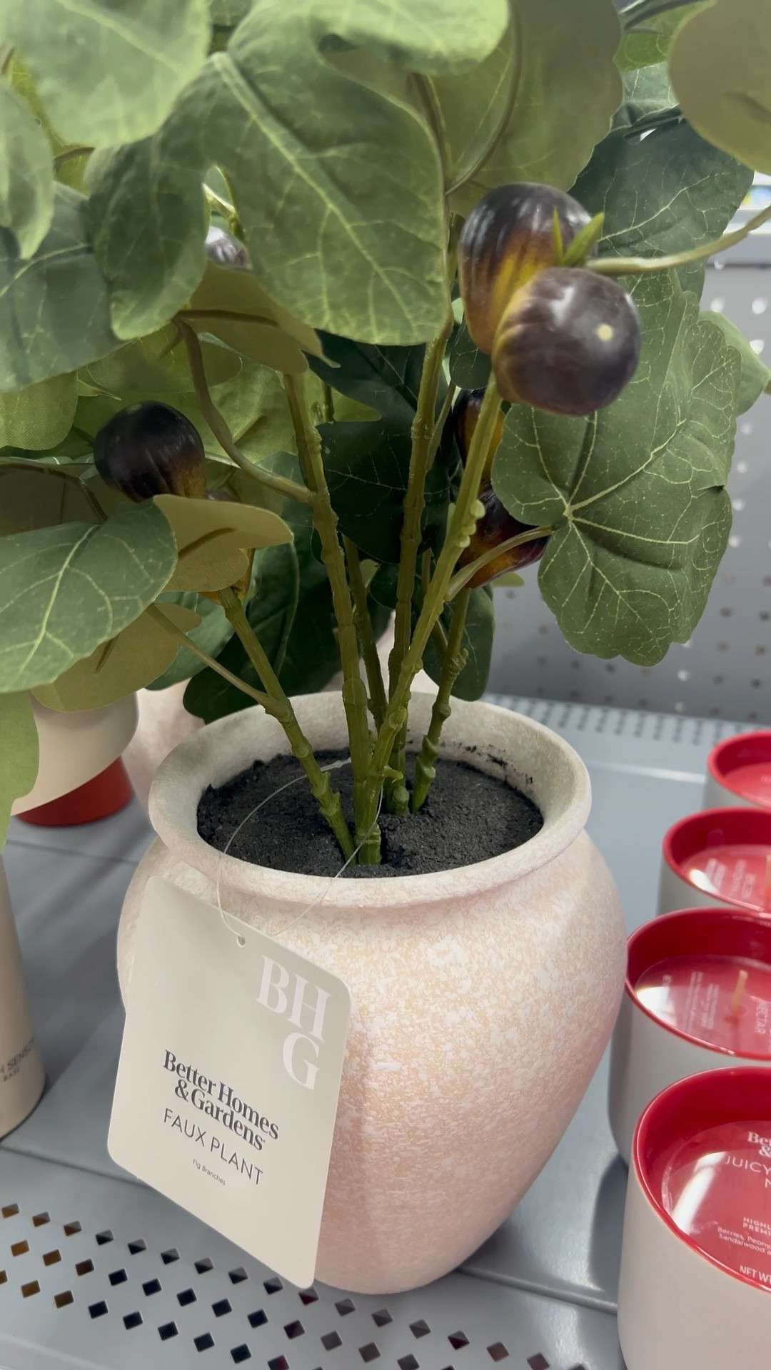Better Homes & Gardens artificial fig leaf in tan ceramic vase from Walmart for less than $20!
#homedecor #bhg

#LTKHome #LTKSeasonal #LTKSaleAlert