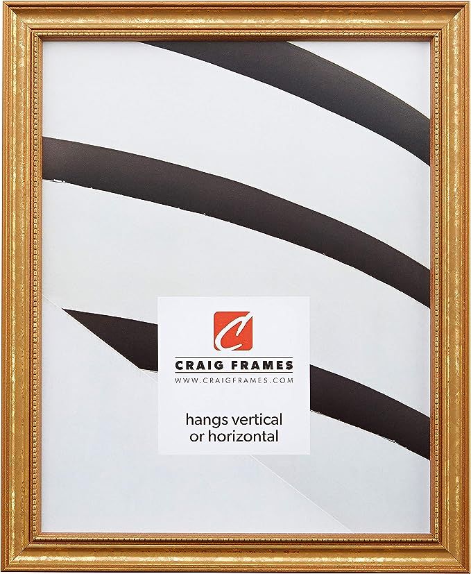 Craig Frames 314GD 18 by 24-Inch Picture Frame, Ornate Finish.75-Inch Wide, Ornate Gold | Amazon (US)