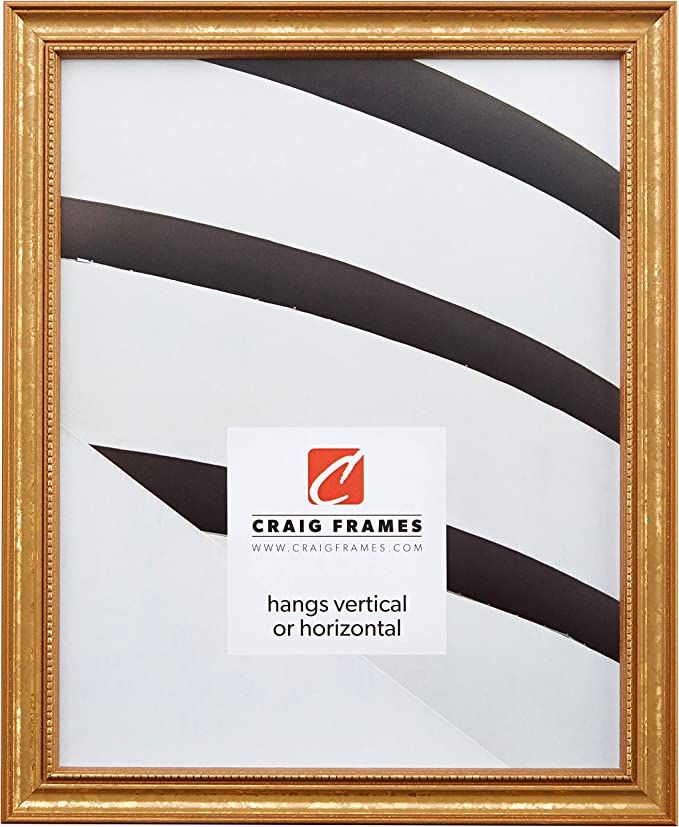 Craig Frames 314GD 24 x 36 Inch Poster Frame, Solid Wood, 0.75 Inch Wide, Gold | Amazon (US)