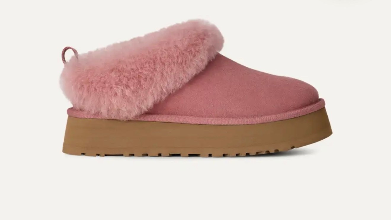 Ugg taz, tazelle 

#LTKFallSale #LTKSeasonal #LTKPetite