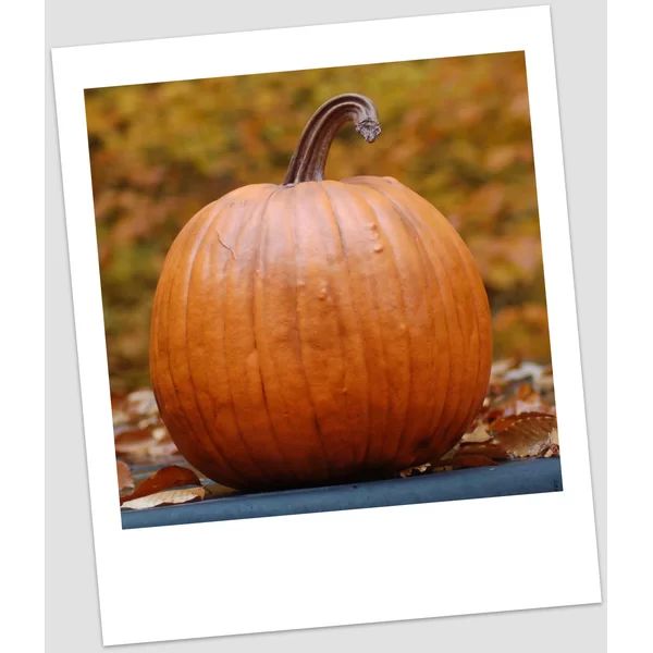 Polyresin Pumpkin Decoration | Wayfair Professional