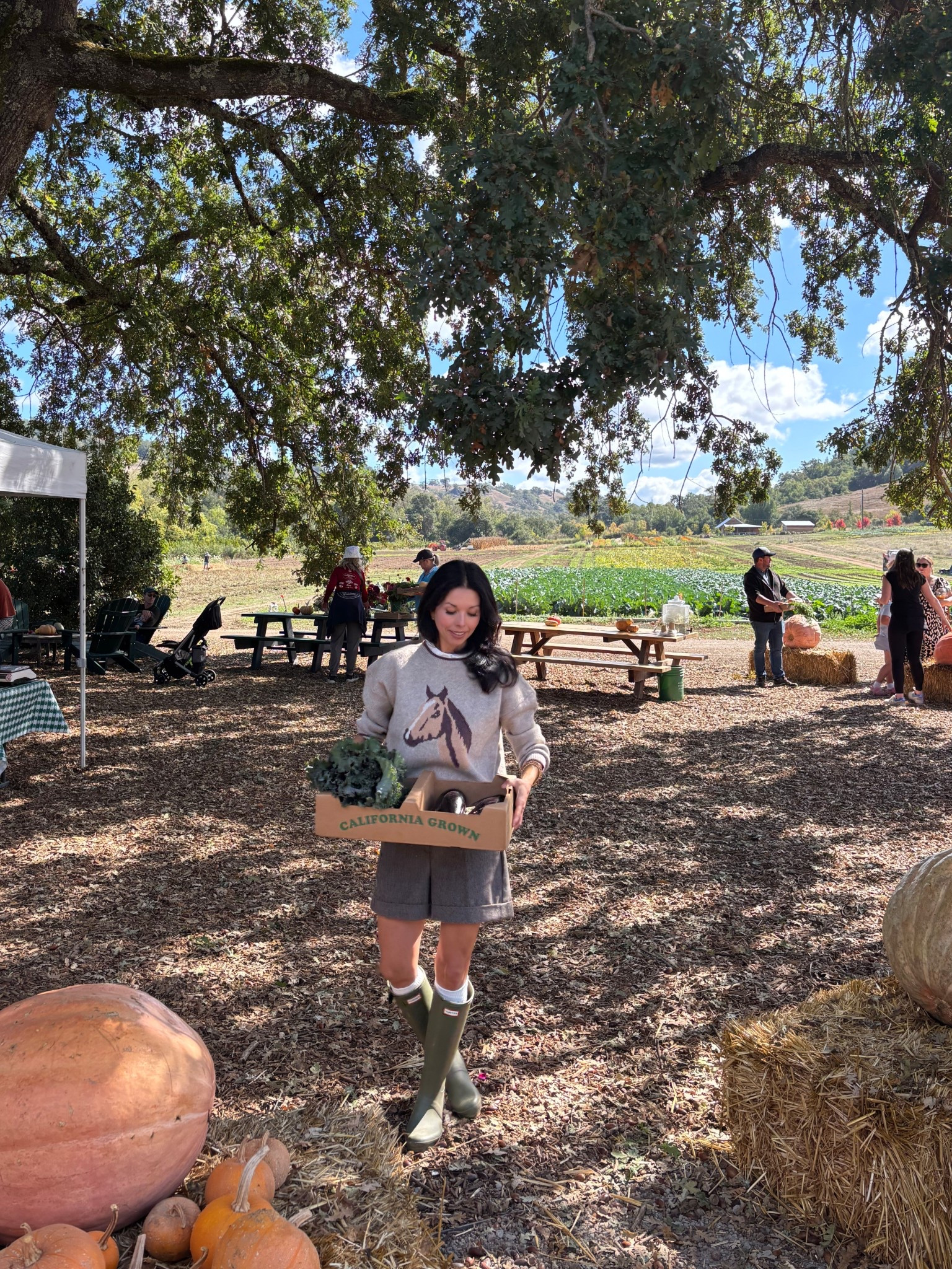 Fall outing outfit 🤎🍂
Wool blend pleated shorts. Linking some that are very similar to mine. 
Horse sweater. Linking a couple that that are similar to mine. 
Olive green Hunter boots with cozy pointelle knee socks. 

Boys red hunter rain boots. 
Boys cozy crew neck sweater. 

Fall outfit
How to wear shorts in autumn 
Equestrian look


#LTKShoeCrush #LTKOver40 #LTKSeasonal