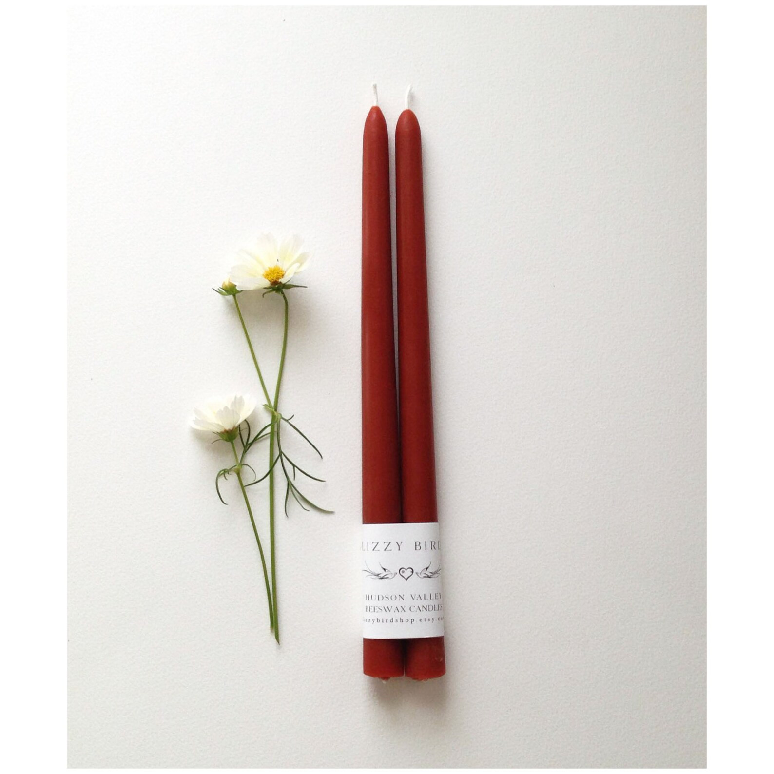 Read the full title
    Beeswax Candles, Beeswax Tapers, Standard Size Tapers, 12 inch Tapers, Cu... | Etsy (US)