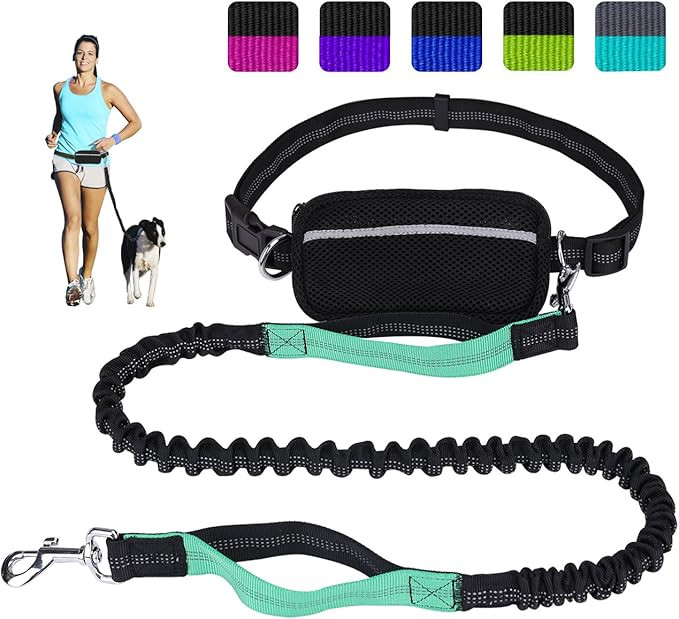 LANNEY Hands Free Dog Leash for Running Walking Training Hiking, Dual-Handle Reflective Bungee, P... | Amazon (US)