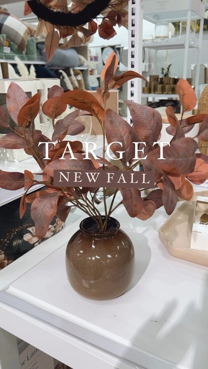 Come shop the new Target Hearth and Hand with Magnolia fall collection with me! This collection is by far my favorite especially the kitchen items 🤎

Fall decor, fall stems, neutral home decor, kitchen finds, berry bowls, espresso cups, fall candles, fall vase, fall floral arrangements, lamps, tea kettlees

#LTKSeasonal #LTKHome #LTKFindsUnder50