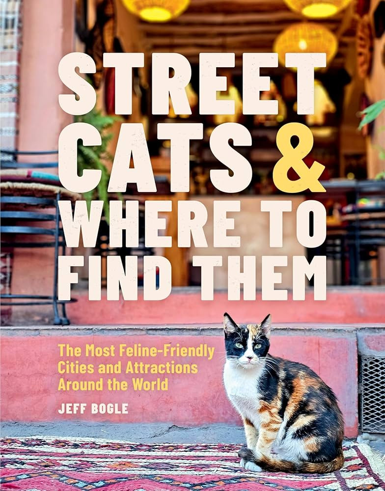Street Cats & Where to Find Them: The Most Feline-Friendly Cities and Attractions Around the Worl... | Amazon (US)