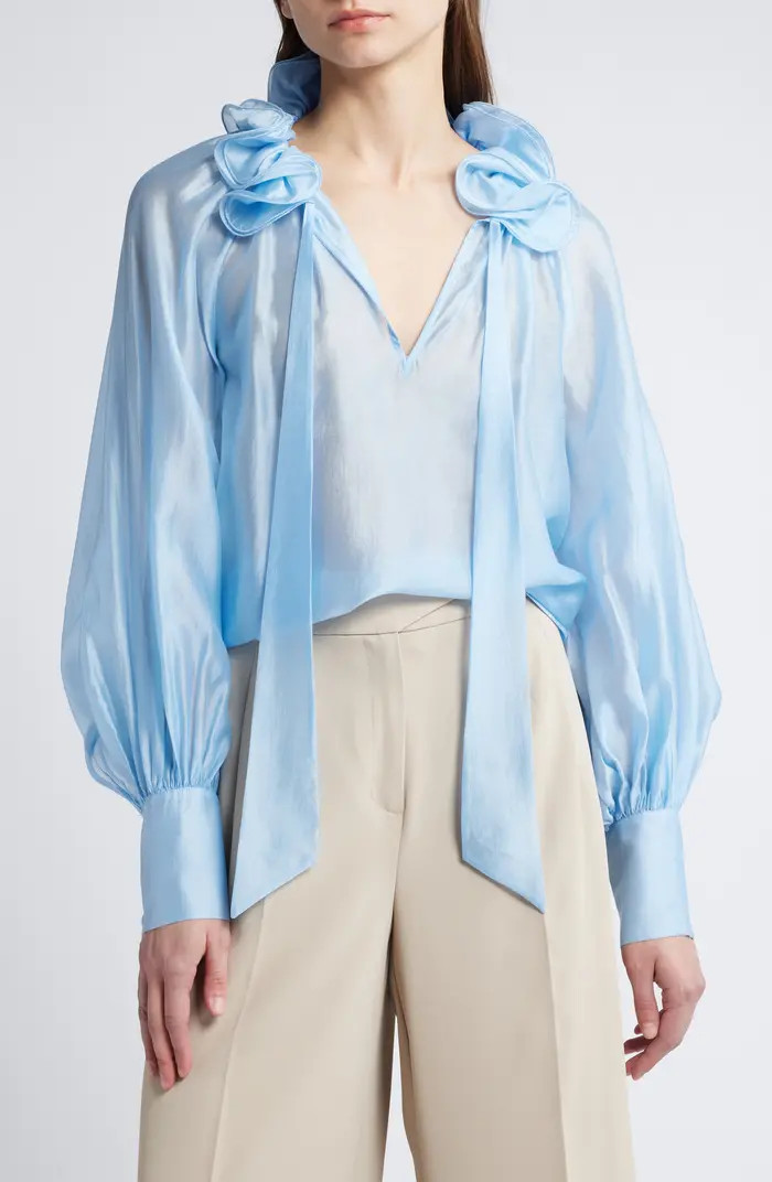 & Other Stories Ruffle Detail Tie Neck Top | Nordstrom | Nordstrom