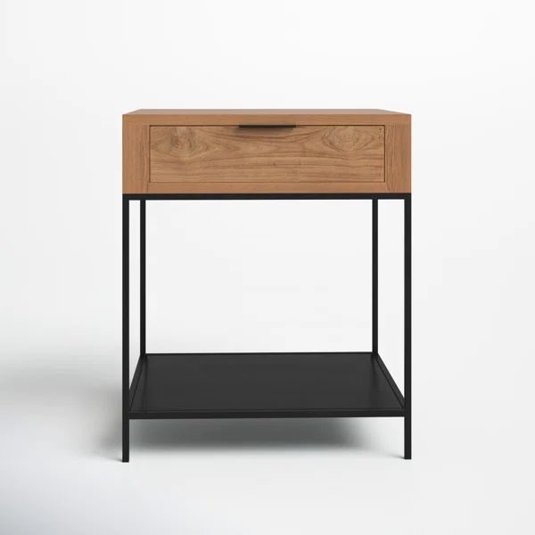 Theo Solid Wood End Table with Storage | Wayfair North America
