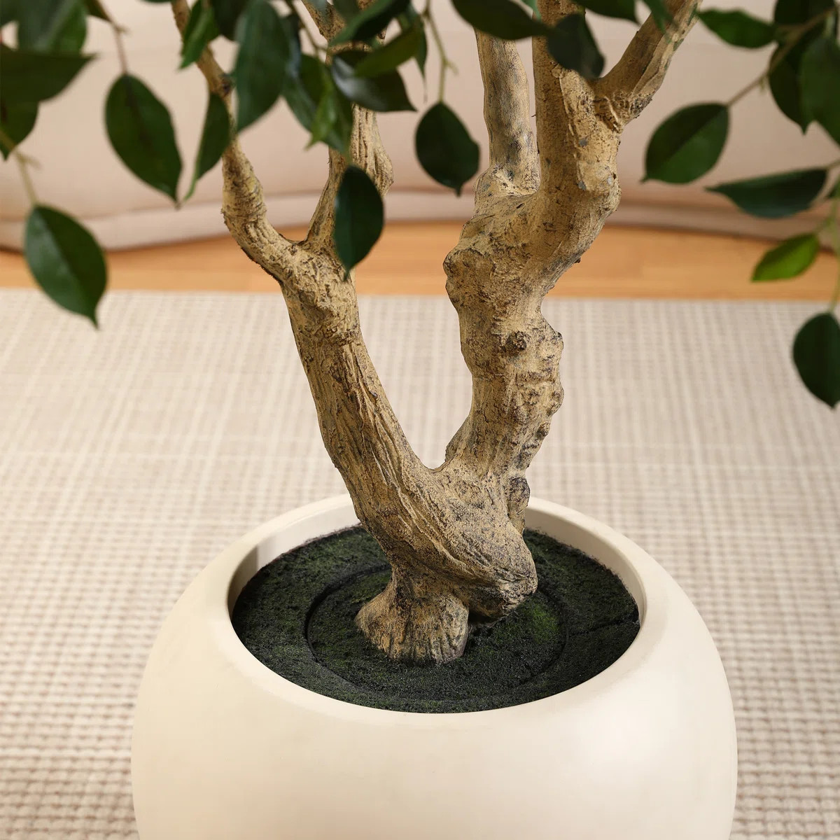 Adcock 8' H Artificial Ficus Tree in 18" White Planter | Wayfair North America