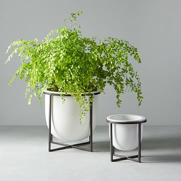 Eden Cross Base Tabletop Planters - Antique Bronze | West Elm (US)
