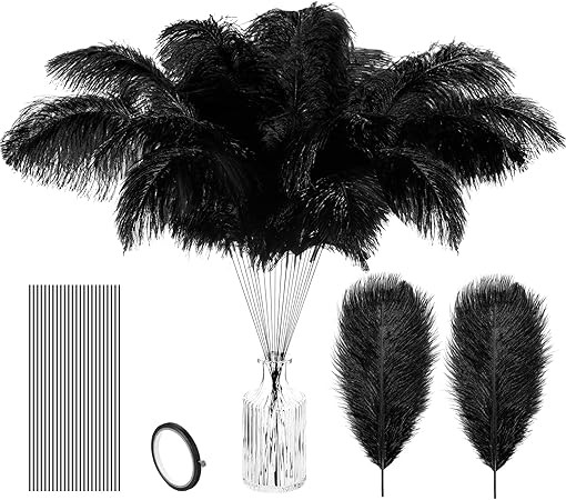 Lyrow 25 Pcs Ostrich Feathers Bulk Plumes 10-12 Inch (25-30 cm) Include 12 Pcs Natural Feathers f... | Amazon (US)
