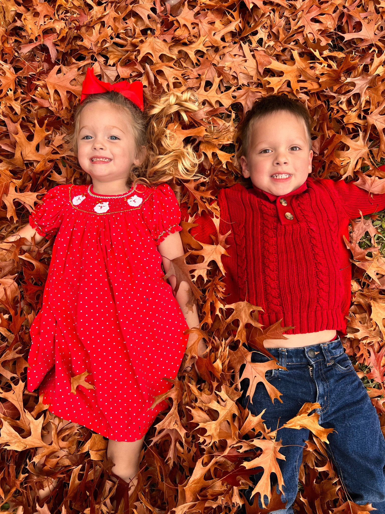 Toddler boy and girl twins matching outfits, sibling sets, coordinated family outfits 

Linked some cute Santa holiday dresses 

#LTKfamily #LTKkids #LTKbaby