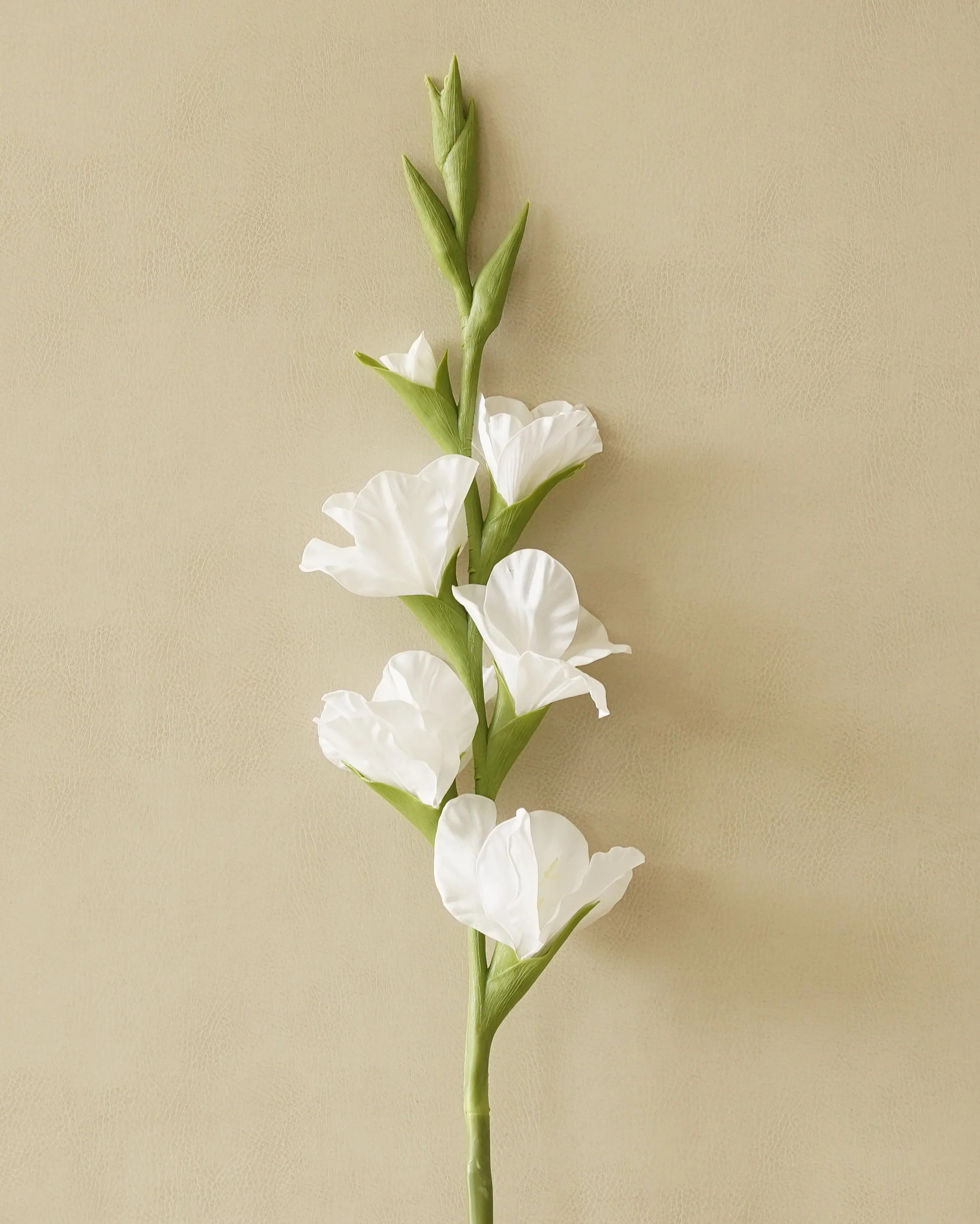 Real Touch Gladiolus Stem | White | MJHome