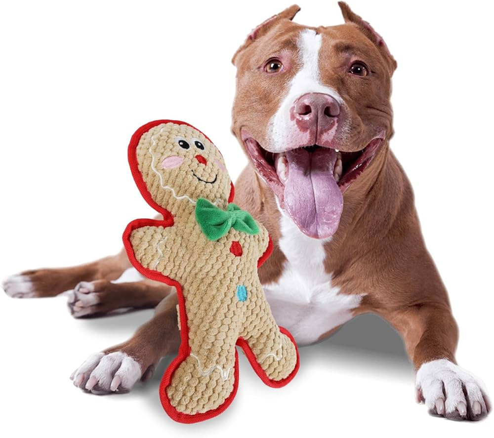 AFP MerryTough Buddy - Christmas Dog Toy, Gingerbread Man Design, Durable with Tough Liner and Pu... | Amazon (US)