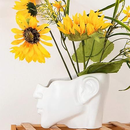 Half Face Planter, Head Planter Face Pot, Flower Pot Succulent Pot, Head vase, Indoor Outdoor Res... | Amazon (US)