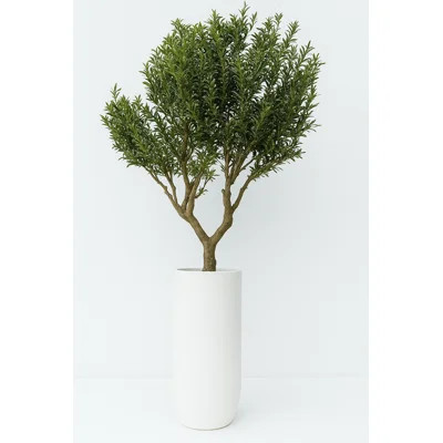Artificial Olive Tree In Matte Black St. Tropez Planter | Perigold