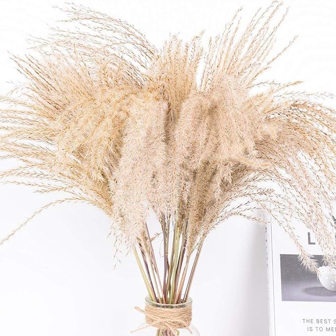 100 PCS Natural Small Pampas Grass,Dried Reed Plumes, Phragmites Communis,Wedding Decorative,Drie... | Amazon (US)