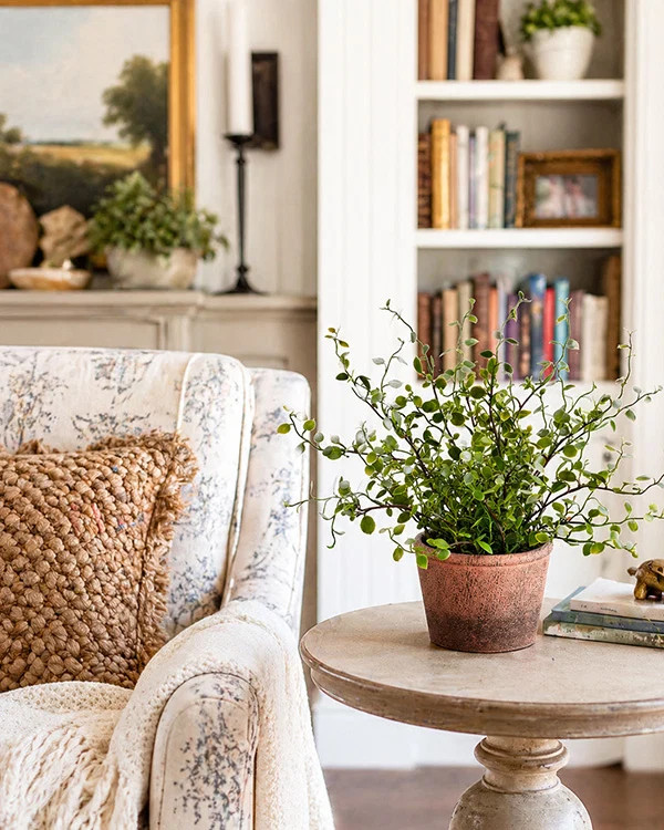 Faux Muehlenbeckia in Paper Mache Pulp Pot | Decor Steals