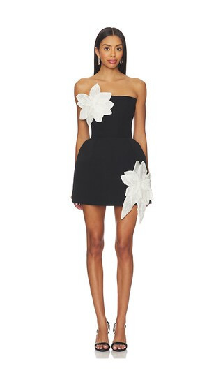 Bronx Banco Jasmine Maraya Mini Dress in Black,White. - size L | Revolve Clothing (Global)