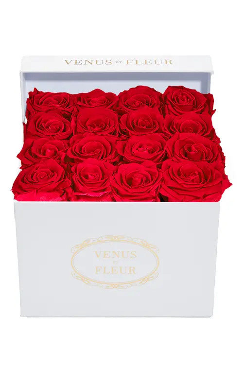 Venus ET Fleur Classic Small Square Eternity Roses in Red at Nordstrom | Nordstrom