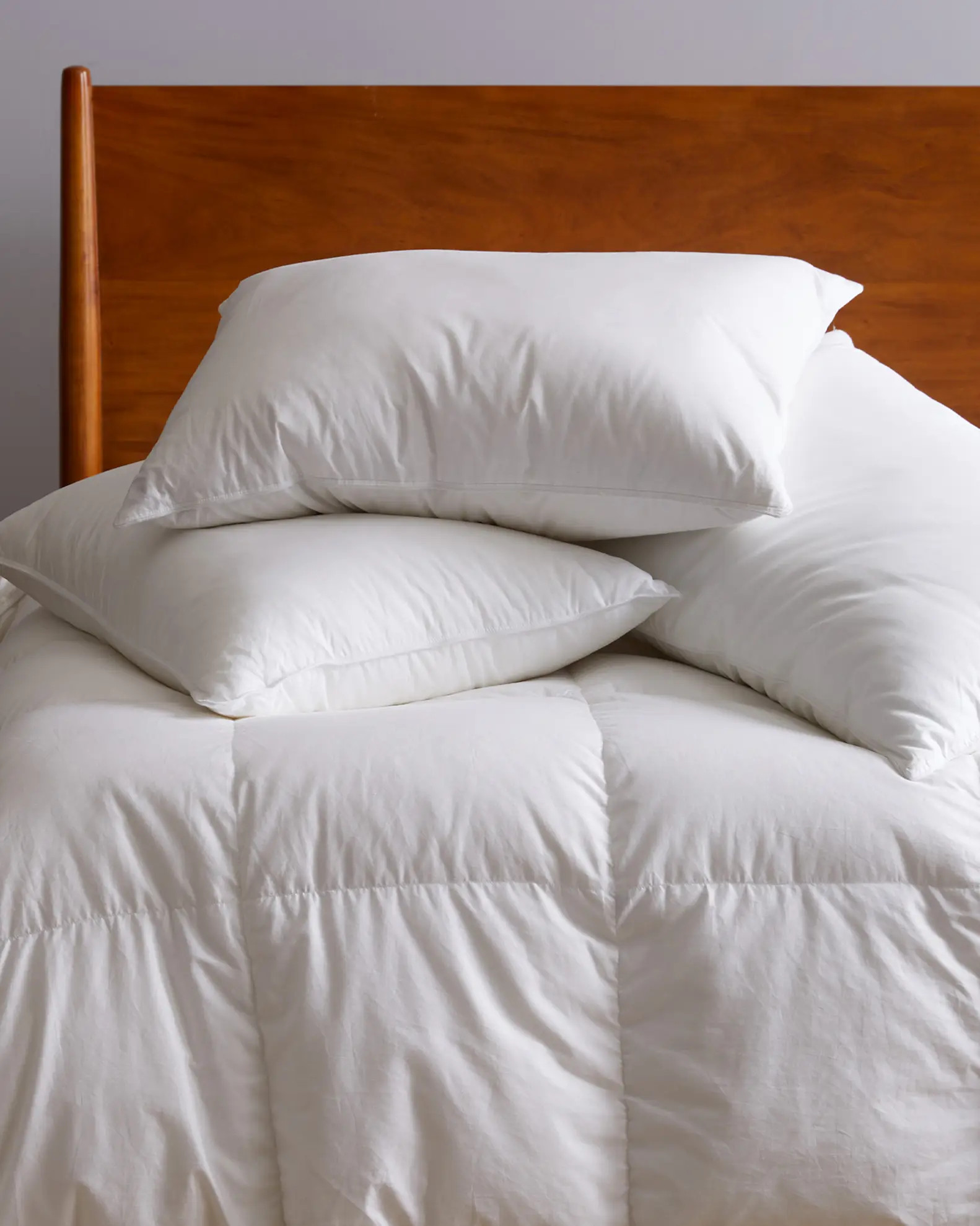 Premium Down Comforter | Quince