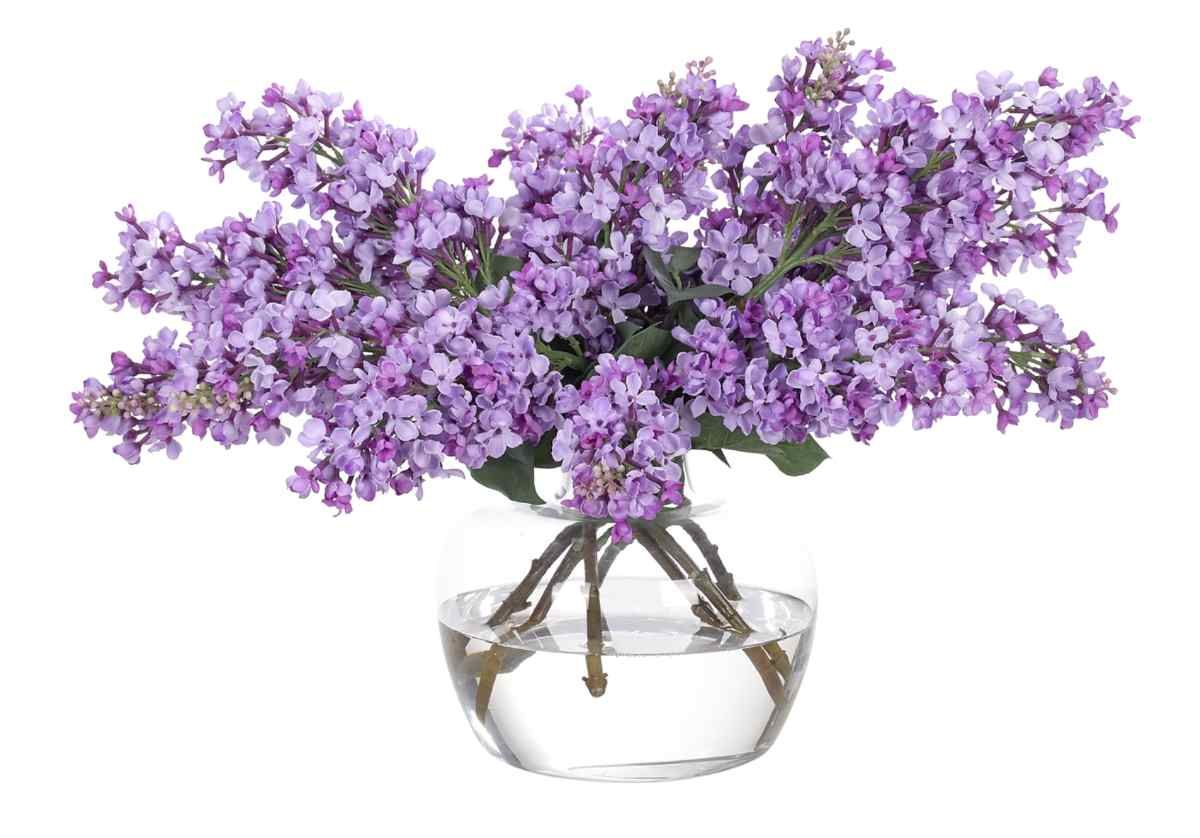 LILAC | Alice Lane Home Collection