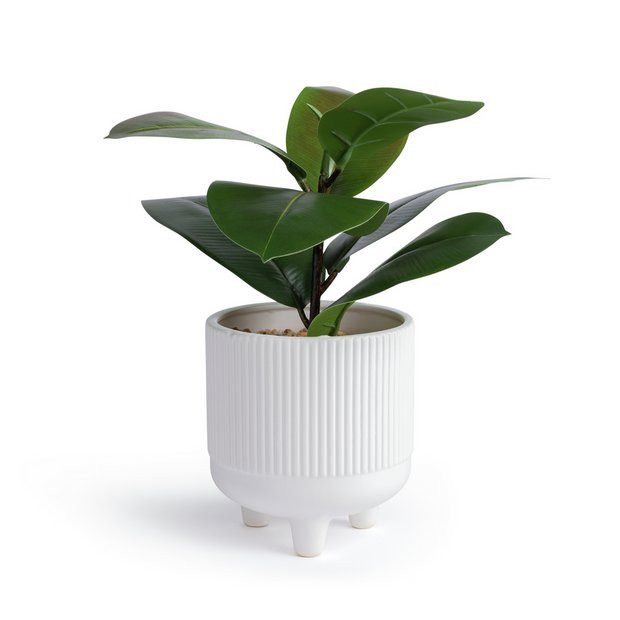 Habitat Faux Fiddle Leaf in Ceramic Pot - White962/3347 | argos.co.uk
