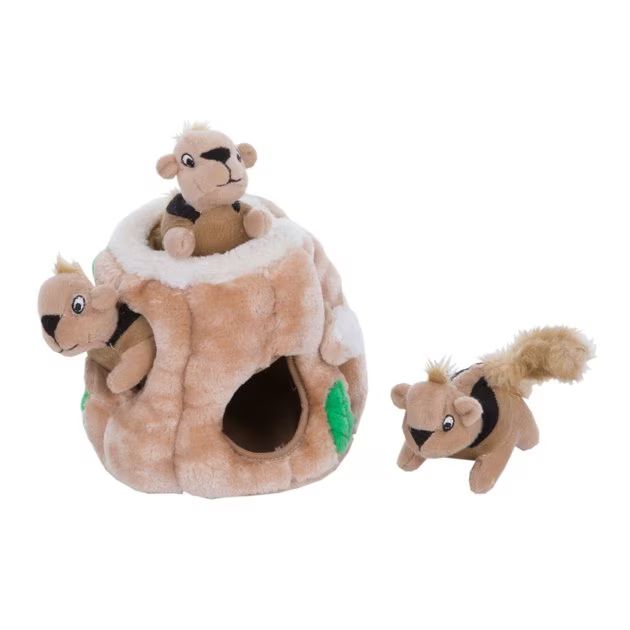 Outward Hound Hide A Squirrel Squeaky Puzzle Plush Dog Toy, Junior | Chewy.com