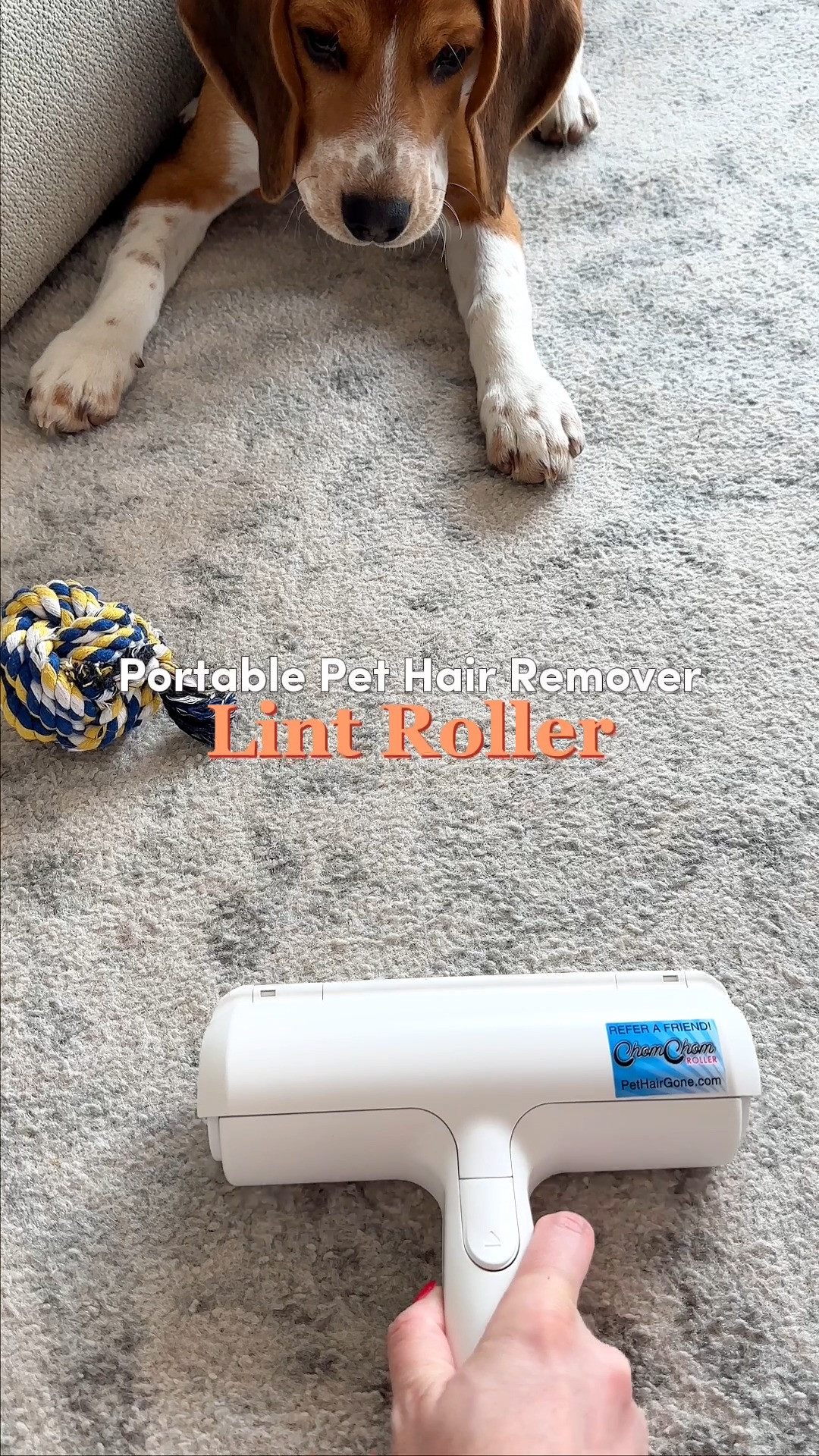 Tired of wasting endless adhesive lint sheets and replacing batteries just to keep your home hair-free? 🐾🧹 This eco-friendly, reusable pet hair remover uses a patented micro-bristle roller to scoop up stubborn cat and dog fur from couches, carpets, bedding, and car seats instantly. Ideal for multi-pet households, couch freshening, upholstery cleaning, and eco-conscious homes! 🛋️

#LTKhome #LTKpets #LTKunder25 #ChomChomRoller #PetHairRemover #CleanHome #DogMomLife #HomeHacks