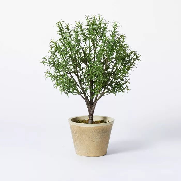 Rosemary Topiary - Threshold&#8482; designed with Studio McGee | Target