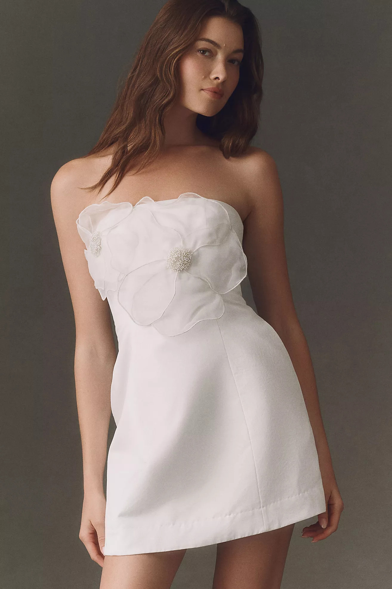 BHLDN Strapless Appliqué Mini Dress | Anthropologie (US)