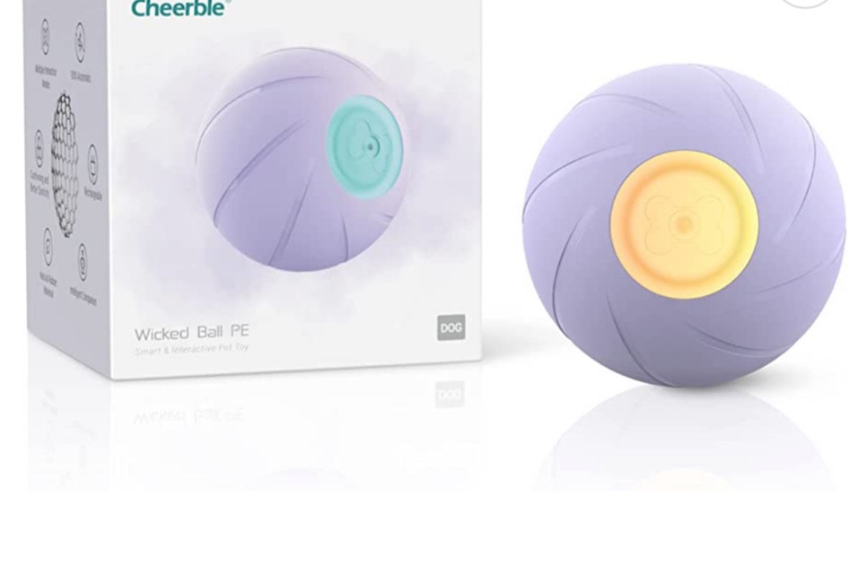 Dog toy🤍 Moves and bounces by itself!