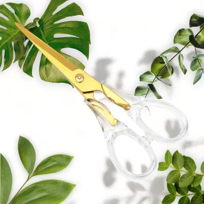 Acrylic Scissors | Wayfair North America