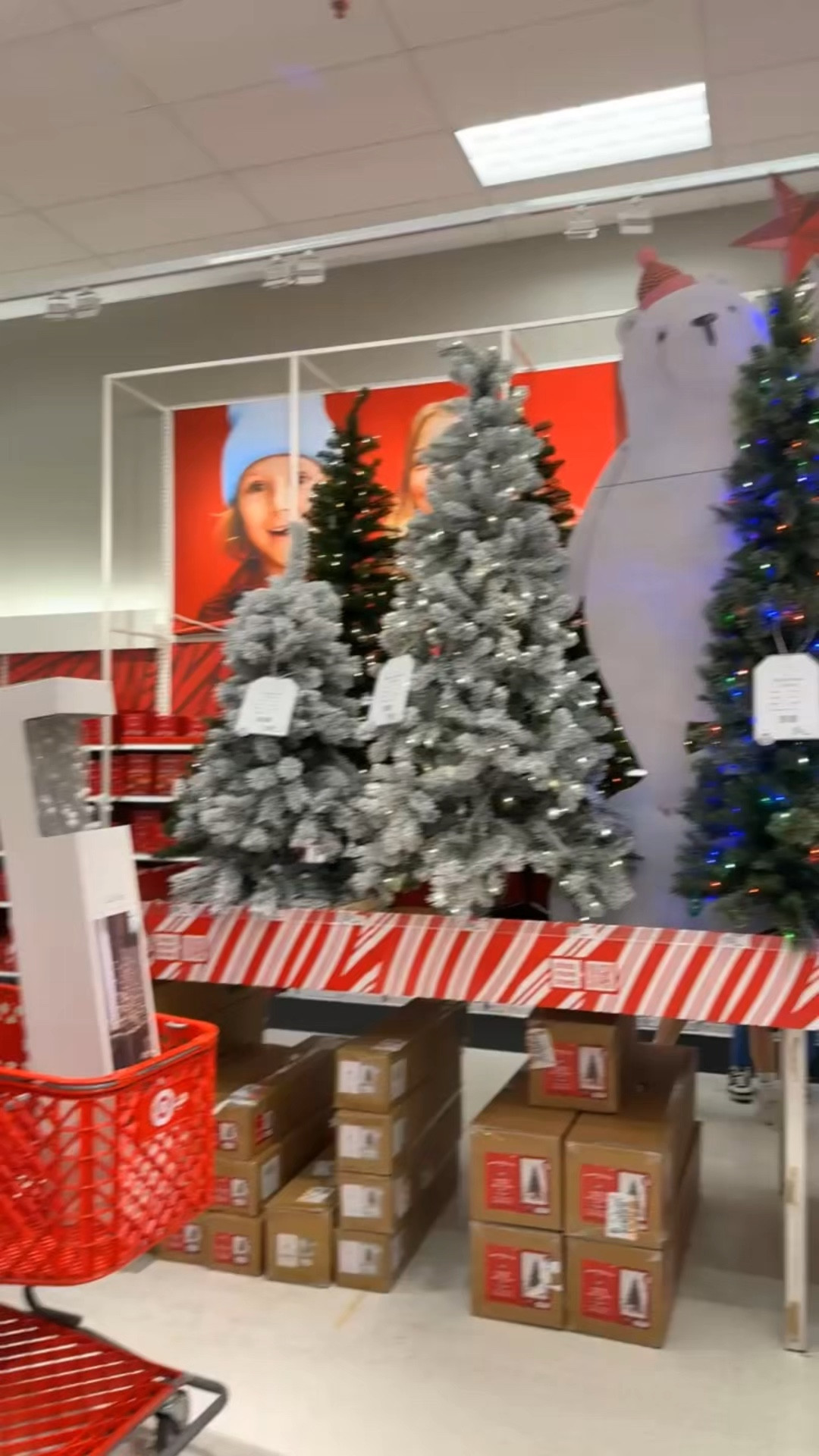 I finally went tree shopping & I went at the perfect time because Target has all trees and decorations 50% off! #targetfinds #targetrun