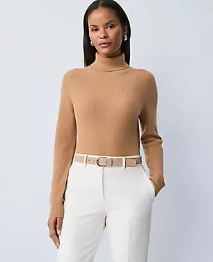 Studio Collection Cashmere Ribbed Turtleneck Sweater | Ann Taylor