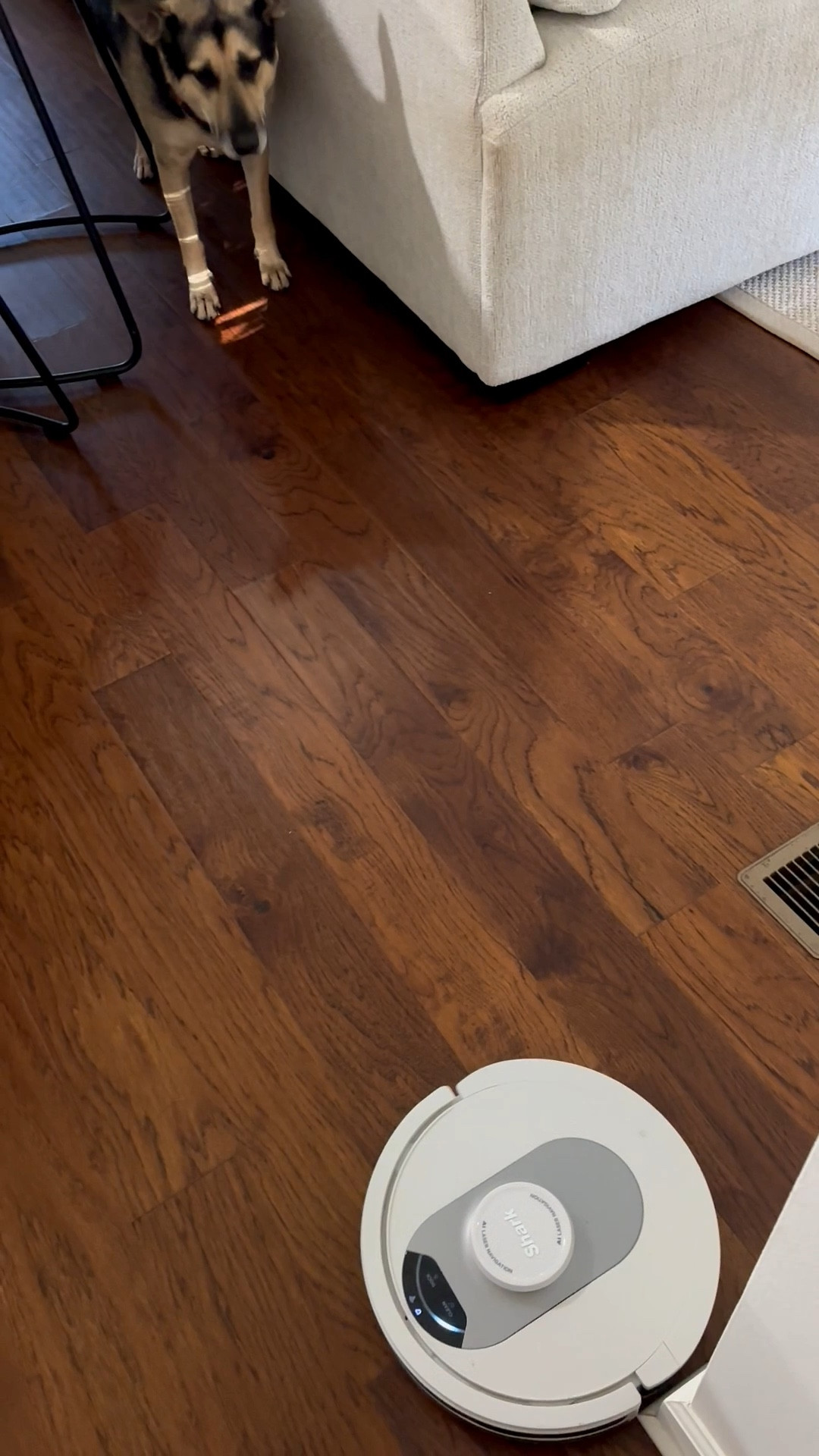 Boots doesn’t like our automatic vacuum, but I sure do. 😆 Anything that cleans my home without me having to lift a finger - I’m all in. This is great for pet hair clean up. 

#LTKHome #LTKSaleAlert #LTKmorningroutine