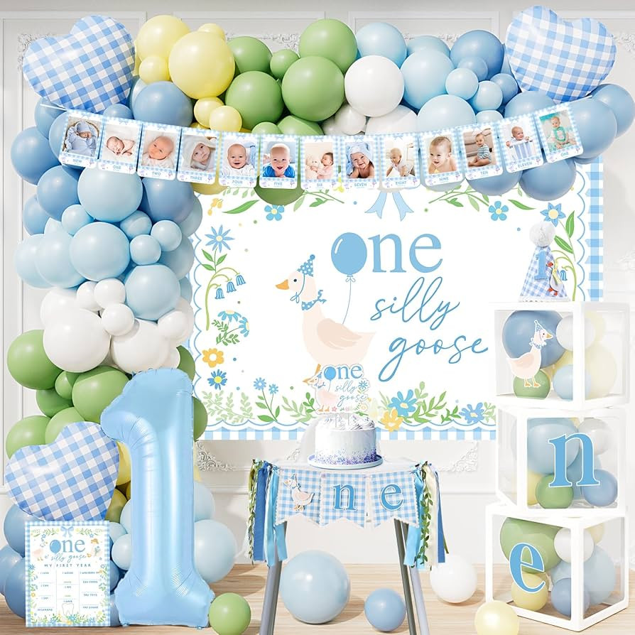 One Silly Goose Birthday Decorations, Blue Silly Goose First Birthday for Boys, Goose 1st Highcha... | Amazon (US)