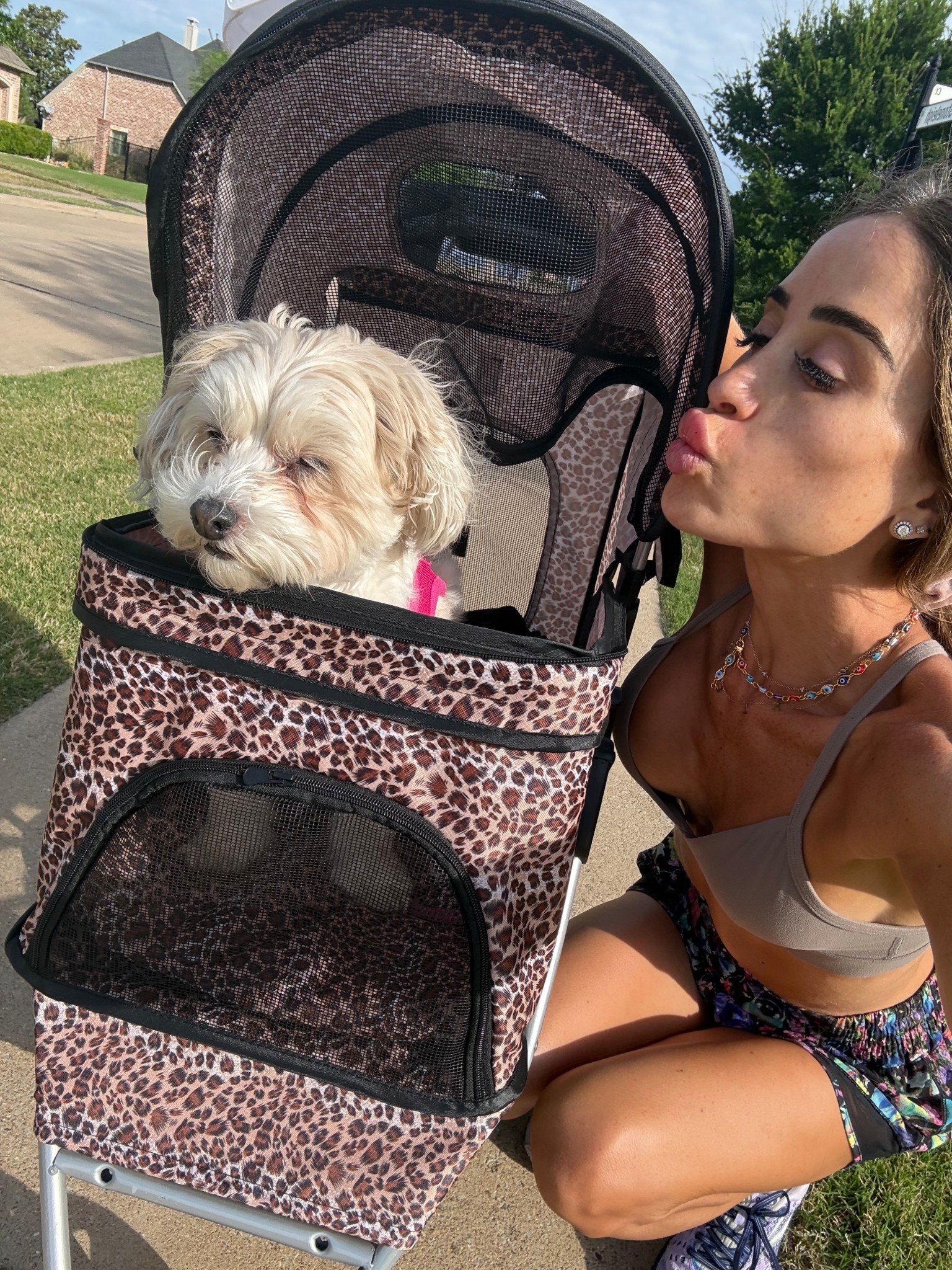 Lucy’s leopard pet stroller she loves! Has held up super well and itsit's on sale! 