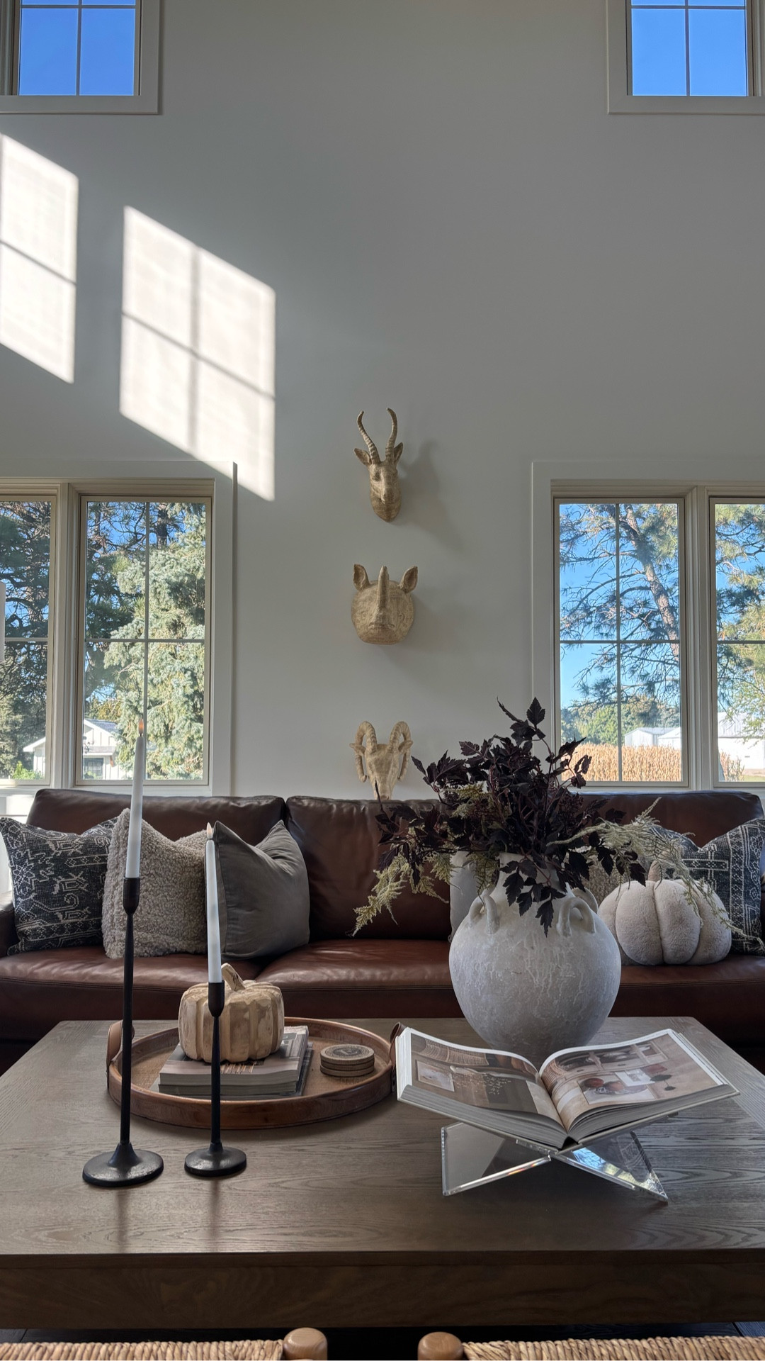 I recently added new pillow covers and you won’t believe the price!  I thought the color combo would work well for fall and winter.  Have a great weekend!

And comment SHOP for links if you’d like them.

#whitehouse #homedecorating #diyhomeprojects #studiomcgee #livinglife #greatroom #livingroomdecor #pillowcover

#LTKSeasonal #LTKHome #LTKFindsUnder50