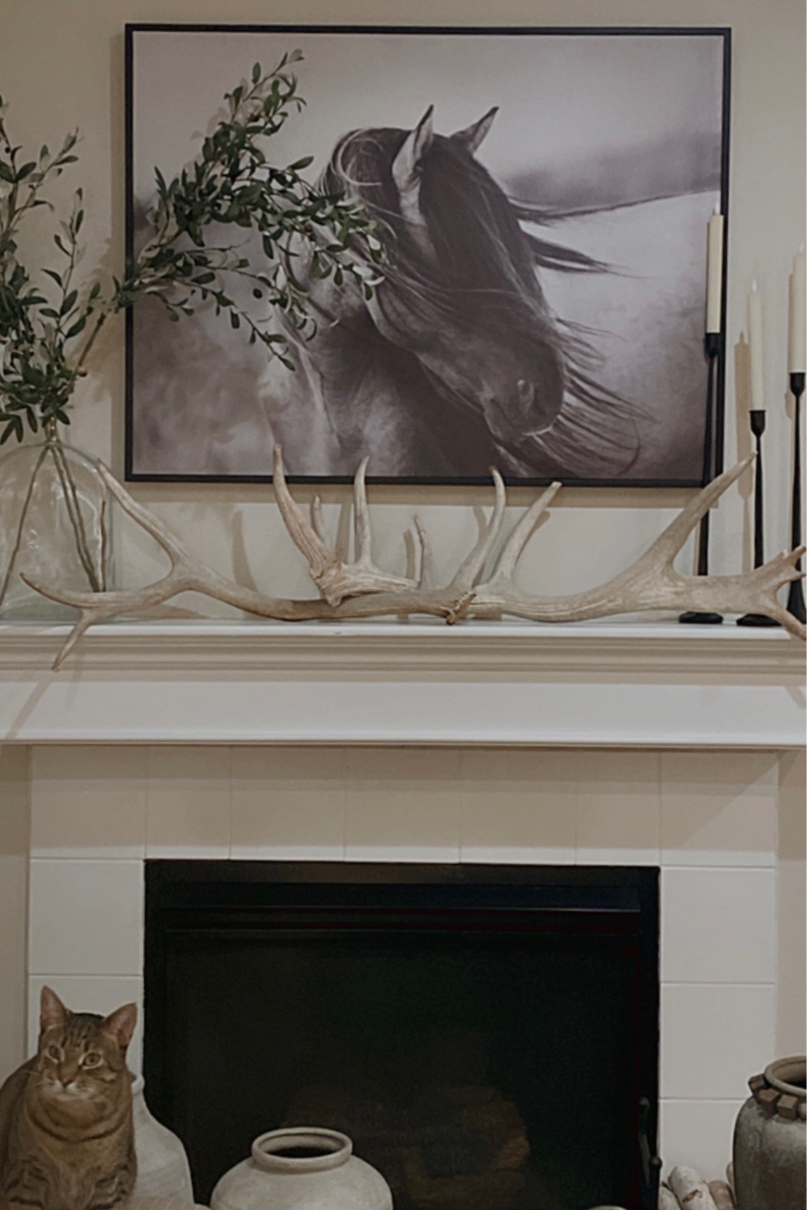 Linked elk sheds!

Neutral home, mantle decor, modern western home

#LTKhome