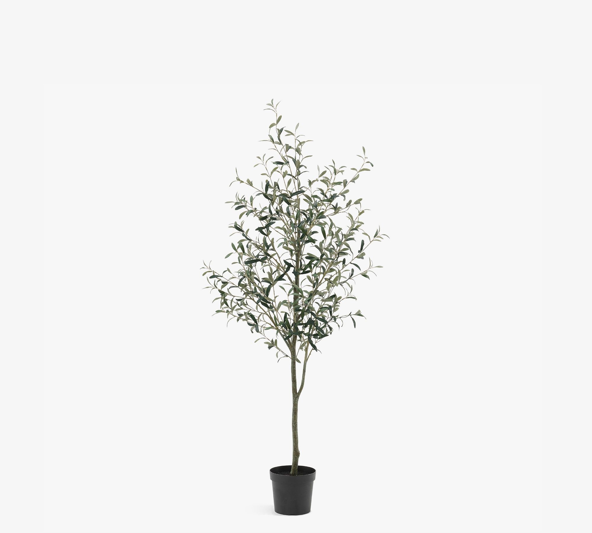 Faux Olive Trees | Pottery Barn (US)