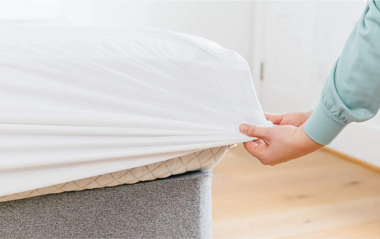 Waterproof Mattress Protector | Leesa Sleep