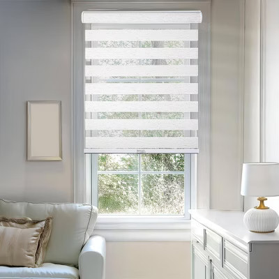 56"x72" Chicology Light Filtering Zebra Shade Beige | Target