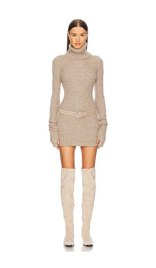 Helsa Lauren Mini Knit Dress in Beige. - size L | Revolve Clothing (Global)