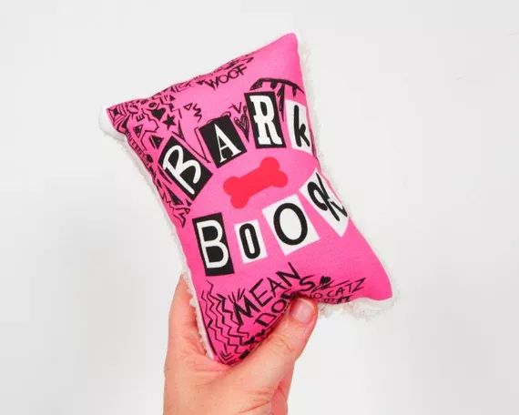 MEAN GIRLS Burn Book Pillow