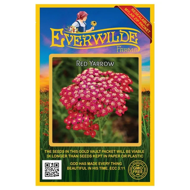 Everwilde Farms - 2000 Red Yarrow Garden Flower Seeds - Gold Vault Jumbo Bulk Seed Packet | Walmart (US)