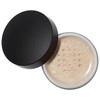 Click for more info about Loose Setting Powder