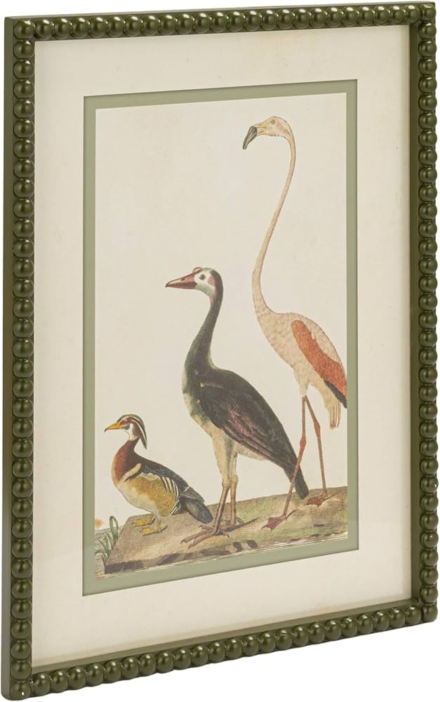 Creative Co-Op Wood Framed Glass Wall Décor with Vintage Reproduction Bird Image and Bobbin Fram... | Amazon (US)