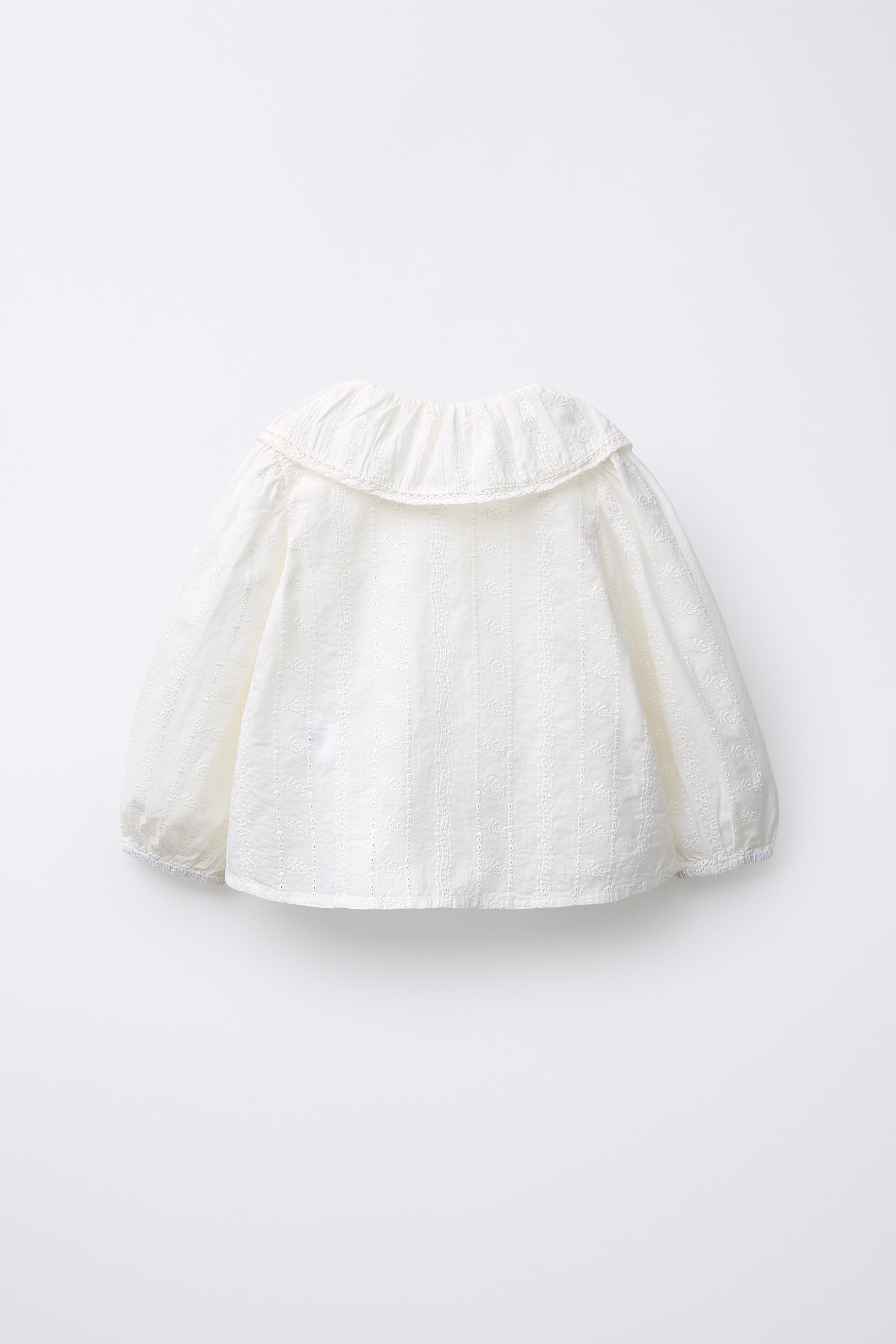 EMBROIDERED BLOUSE | Zara US