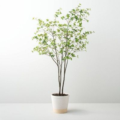 55" Faux Gypsophila Leaf Potted Tree - Hearth & Hand™ with Magnolia | Target
